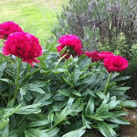 Oscar Park Farm Bed & Breakfast York