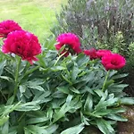 Oscar Park Farm Bed & Breakfast York