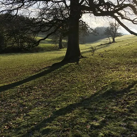 Oscar Park Farm * York