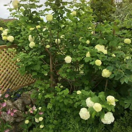 Oscar Park Farm Bed & Breakfast