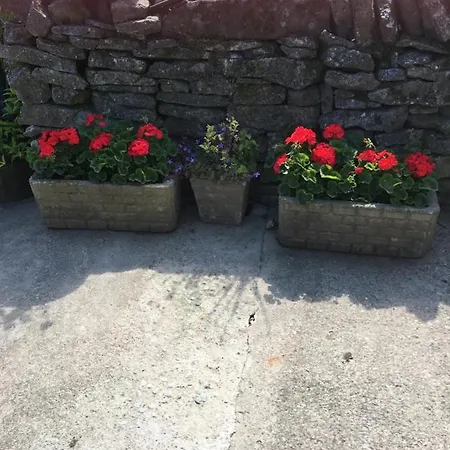 Oscar Park Farm York