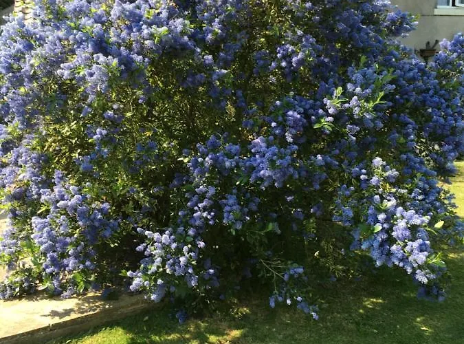 Oscar Park Farm Отель типа 