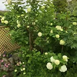 Oscar Park Farm Bed & Breakfast