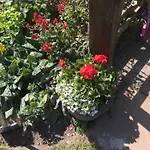 Oscar Park Farm *