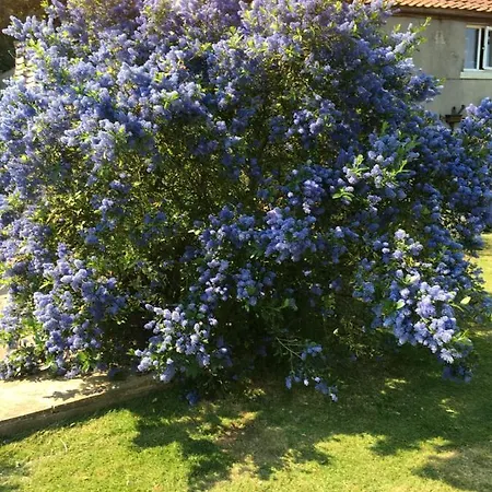Oscar Park Farm Bed and Breakfast Γιορκ